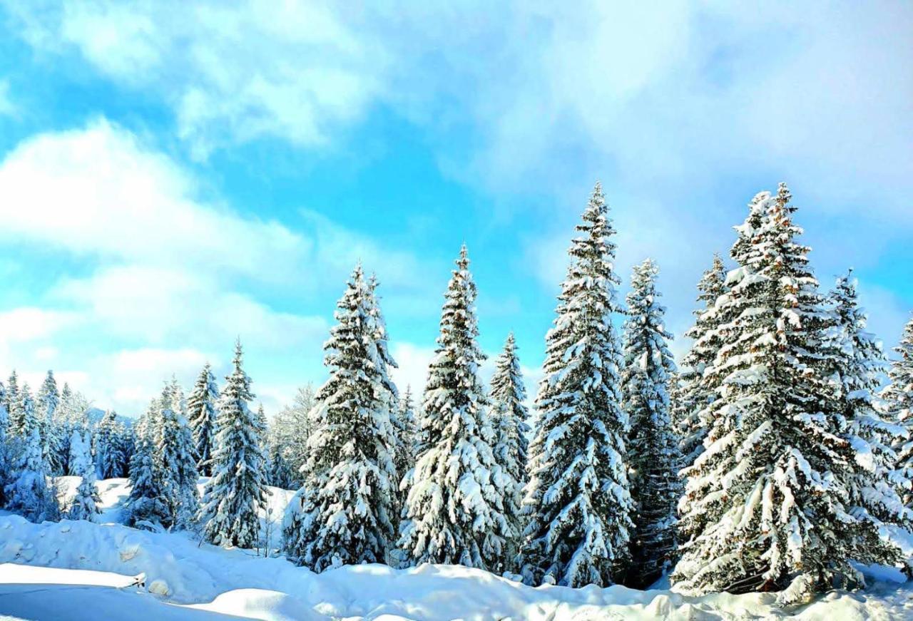 Jahorina 7Lux Apartment Exterior photo