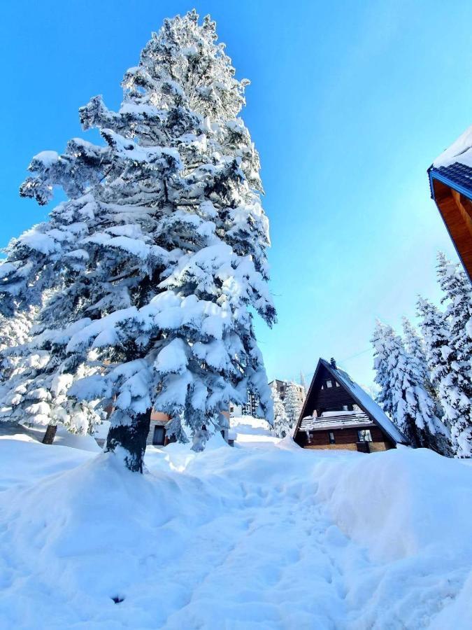 Jahorina 7Lux Apartment Exterior photo