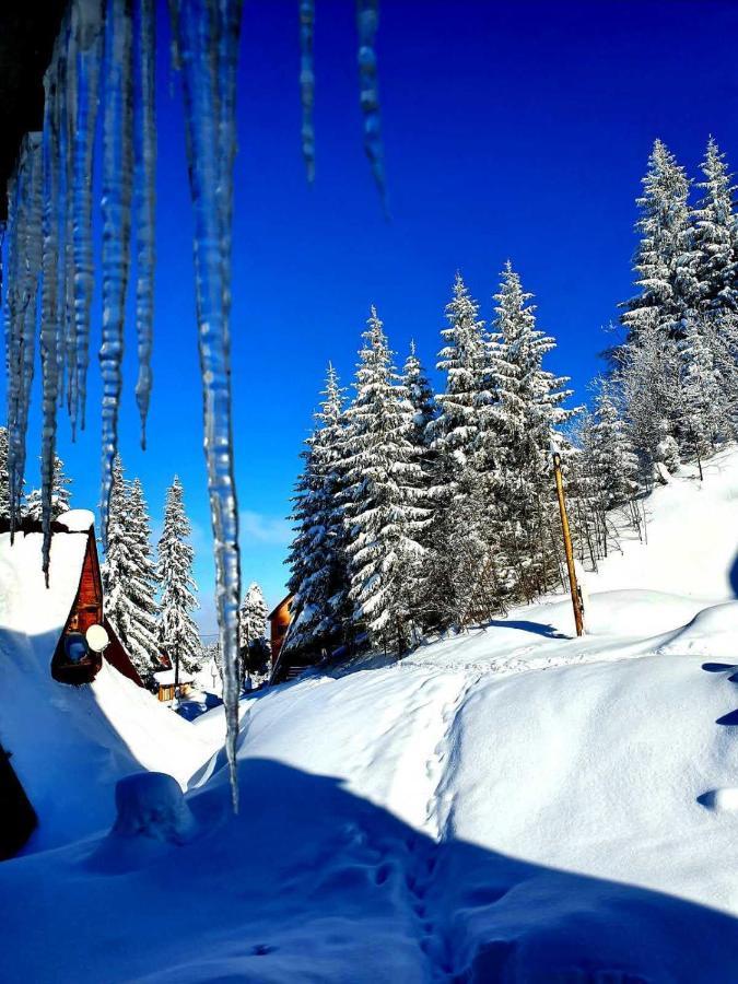 Jahorina 7Lux Apartment Exterior photo