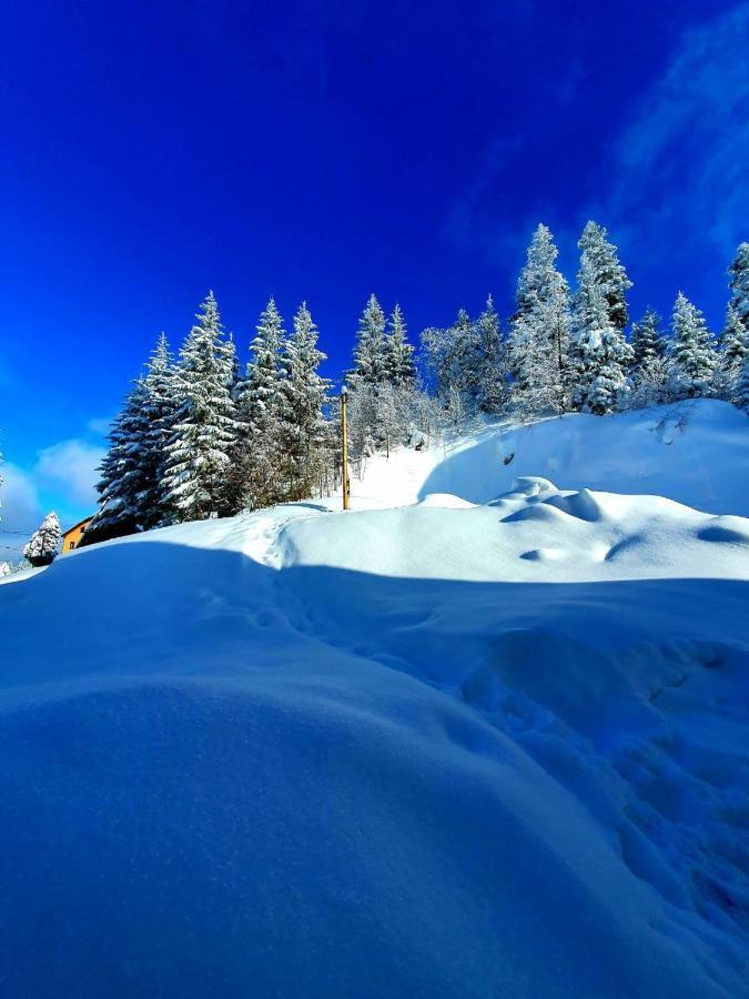 Jahorina 7Lux Apartment Exterior photo